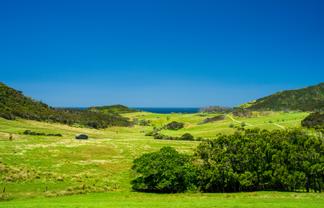Lot 1 Basil Road, Whangarei Heads