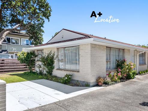 19 Bloomfield Terrace, Central Hutt