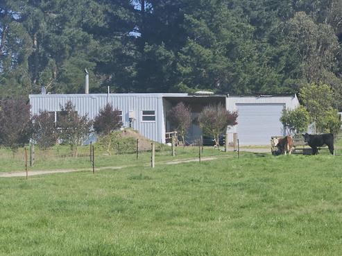 1779 Kakanui Valley Road, Five Forks and Surrounds