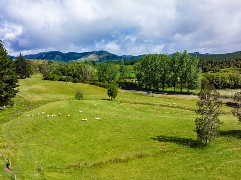 1941 Tangowahine Valley Road, Dargaville Surrounds