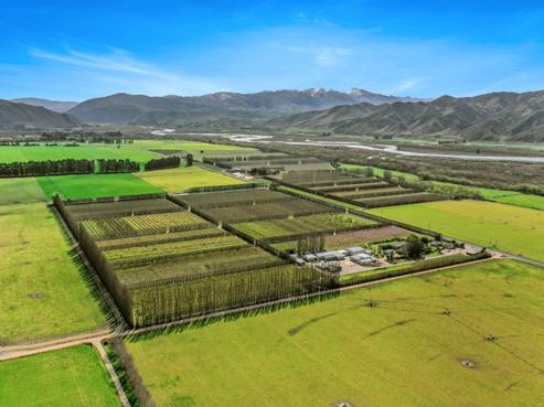 5221 Kurow-duntroon Road, Kurow
