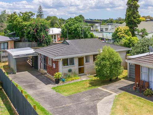 46A Livingstone Avenue, Nawton