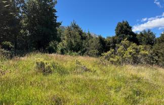 58 Mt Lyford Avenue, Lyford