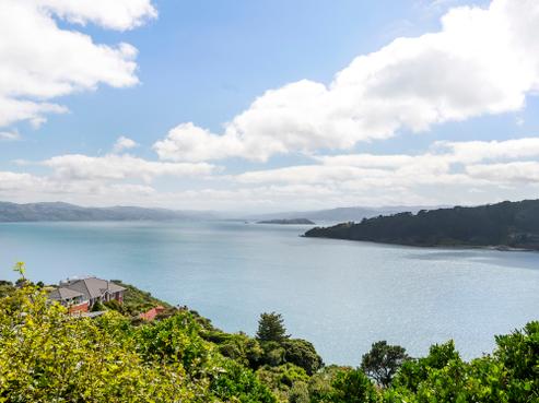 21 Waipapa Terrace, Hataitai