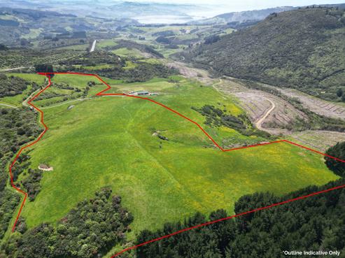 304B Pigeon Flat Road, Mount Cargill