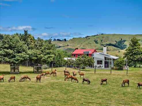 66 Waimanu Road, Otaki