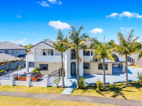 87 Pitt Avenue, Clendon Park