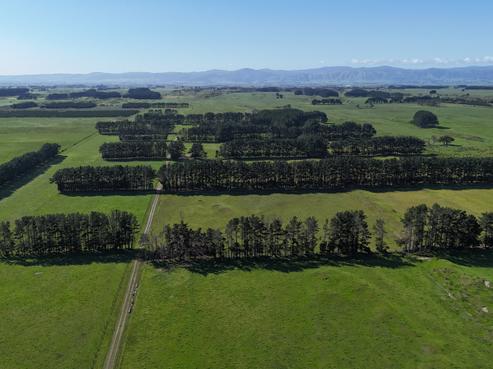 265 Paranui Road, Foxton