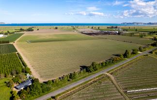  Willows Road, Matawhero