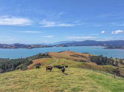 1296 Manaia Road, Te Kouma