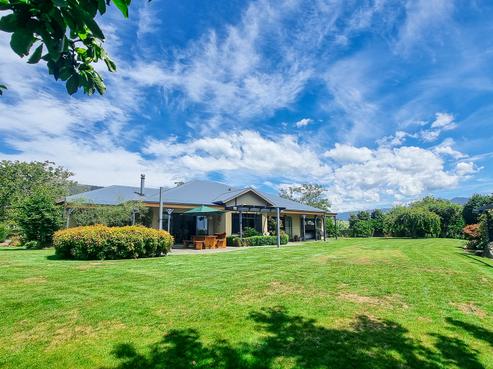 92 Packard Road, Motupipi