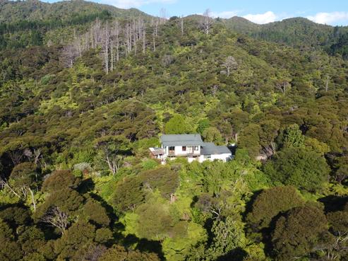 800 Buffalo Road, Coromandel