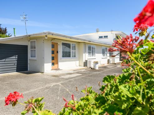 271B Grey Street, Palmerston North Central
