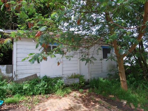 196 Aro Street, Aro Valley