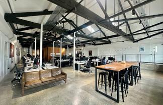Character Kiwi Bacon Building Office
