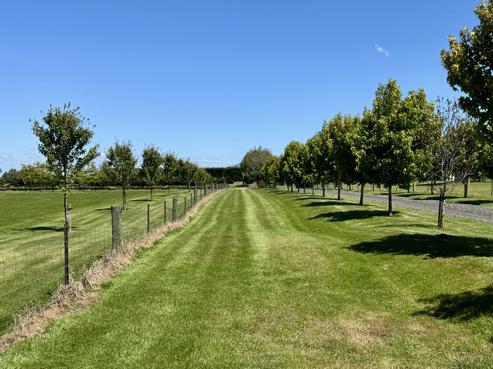 499 Gordon Road, North Taieri