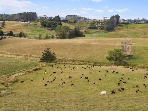 206 Ireland Road, Waitoki