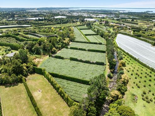 33 Wharawhara Road, Katikati