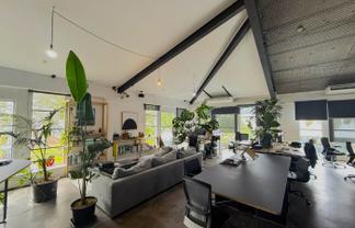 GREY LYNN CHARACTER OFFICES
