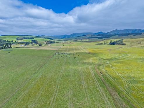 744 Motukaika Road, Maungati