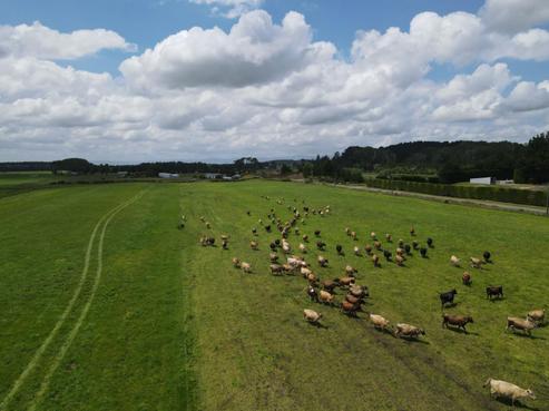 1480 State Highway 1, Himatangi