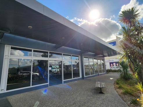 500 Ti Rakau Drive, Northpark