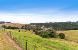 1093 Run Road, Wellsford