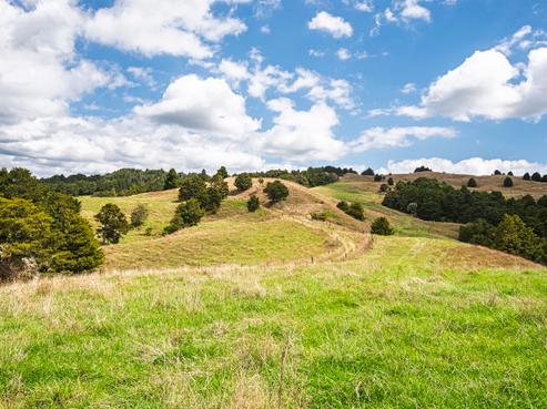 1085 Riponui Road, Ruatangata