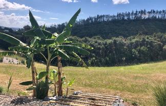 280 Aucks Road, Okiato