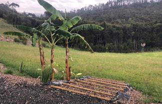 280 Aucks Road, Okiato