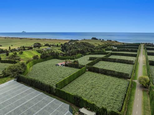 106 Beach Road, Opotiki and Surrounds