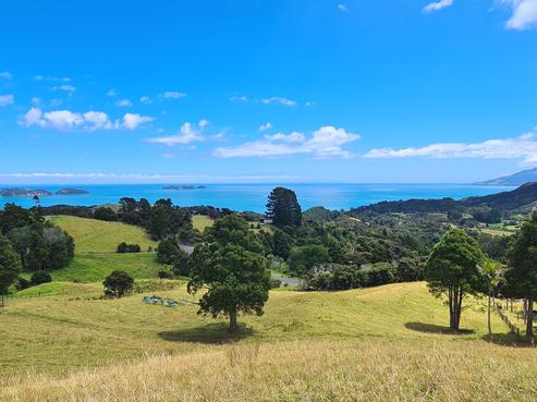 1702 Colville Road, Coromandel