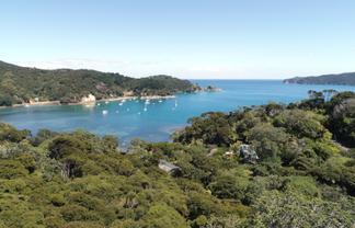 174 Shoal Bay Road, Great Barrier Island (Aotea Island)