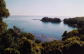 28/8361 State highway 35, Waihau Bay