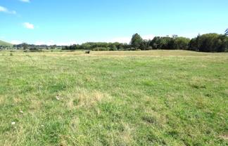  Remuera Settlement Road, Ohaeawai