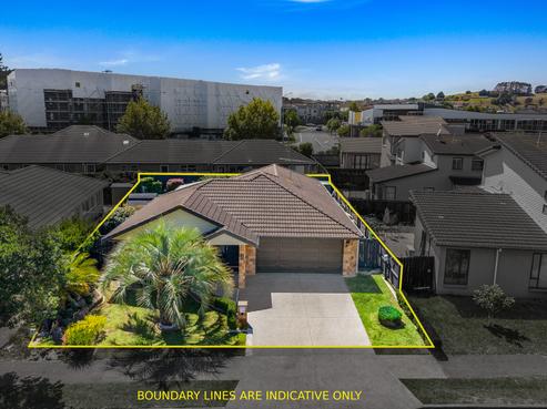 19 Skelligs Drive, Flat Bush