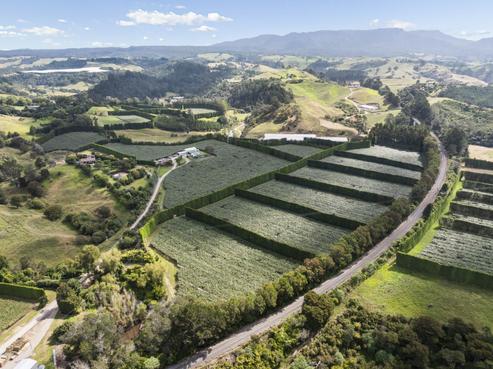 26E Wainui South Road, Whakamarama