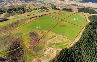  Airstrip Road, Pikowai