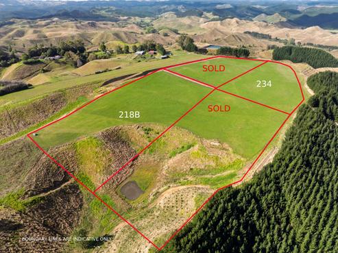 166 Airstrip Road, Pikowai