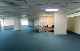 Level 8 Office - Manukau City Centre