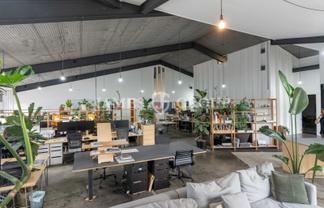 SCANLAN STREET CHARACTER