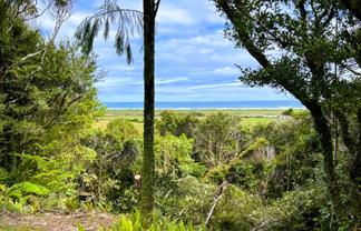 3/1290 Tanglefern Row, Charleston