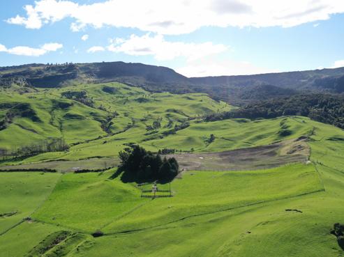 748 Heays Access Road, Tutira