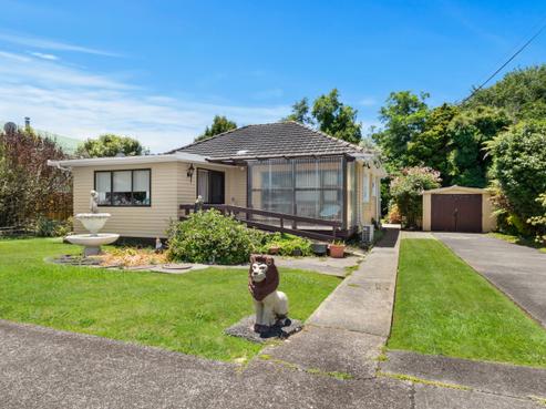 6 Sanders Avenue, Morrinsville