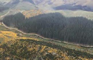  Switchback Road, Glenpark