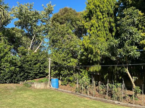 11 Uenuku Place, Waitara