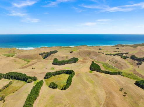 1415 Babylon Coast Road, Dargaville Surrounds
