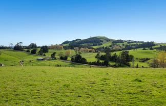 1065 Pipiwai Road, Ruatangata West