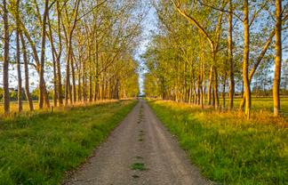 172 Stockdills Road, Amberley