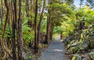 17 Korihi Drive, Swanson